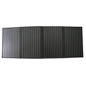 200W AC 充电器 